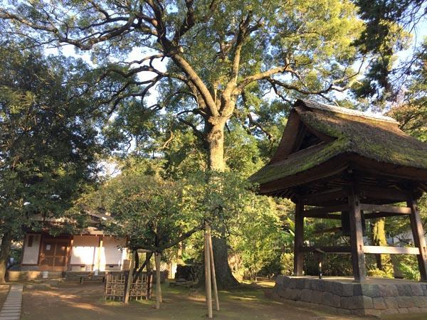 Masutomi Ryokan Hakone Ngoại thất bức ảnh