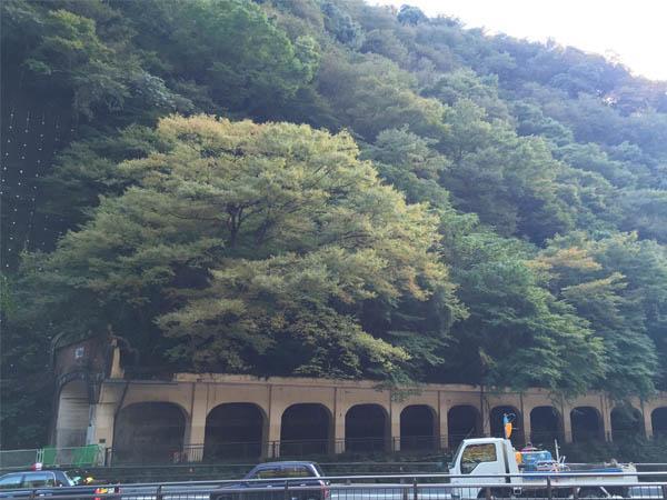 Masutomi Ryokan Hakone Ngoại thất bức ảnh